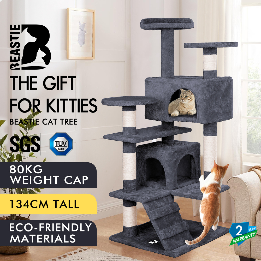 A cat tree 2025