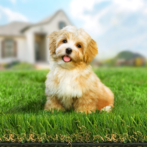 OTANIC Artificial Grass 40mm 1x10m Synthetic Turf 10SQM Roll Fake Yarn Lawn